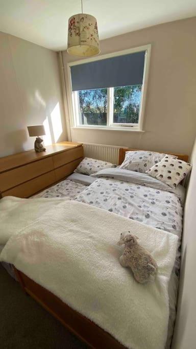 Cheerful 3 Bedroom Bungalow With Indoor Fire Place Gloucester Eksteriør billede